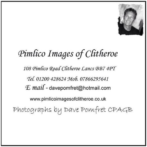 images_pimlico's profile picture. Dave Pomfret. Photography. Pimlico Images Of Clitheroe. Based in Clitheroe. BB7 4PT. Mob: 07866295641 Tel: 01200 428624