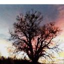 Jim Colvin - @jimcolvin1 - Twitter