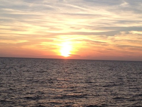 Fiplanr's profile picture. 