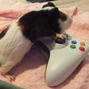 Dakota Bailey - @xboxlivepig - Twitter