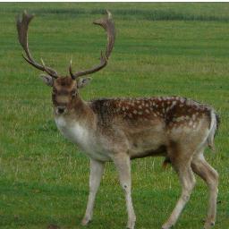 Specialist in Rifles, Deer Management and Deer Dogs. Butchery and Game Cookery. Professional trainer.