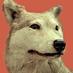 NatHistConservation (@nathistconserve) Twitter profile photo NatHistConservation (@nathistconserve) Twitter profile photo