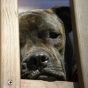 Bob Matteson - @Navybiker - Twitter