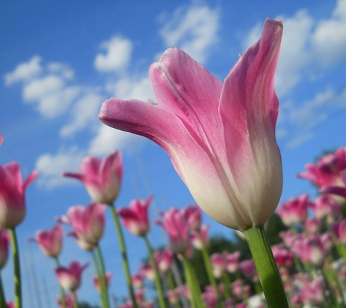 mardidavis's profile picture. 