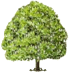 Website resource for Headley in Hampshire, UK.  Information from the organisations and local societies around the village. @headleyvillage@mastodonapp.uk
