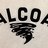 alcoasports's profile image