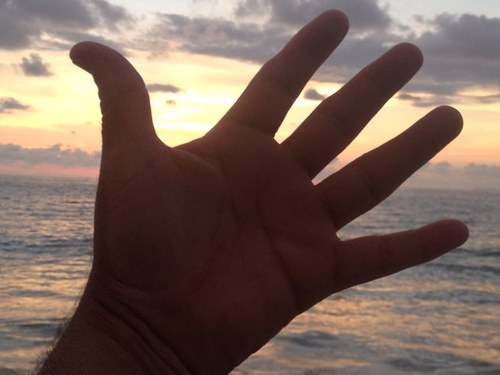 ucharassss's profile picture. 