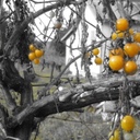 Erin Mick - @erin_mick - Twitter