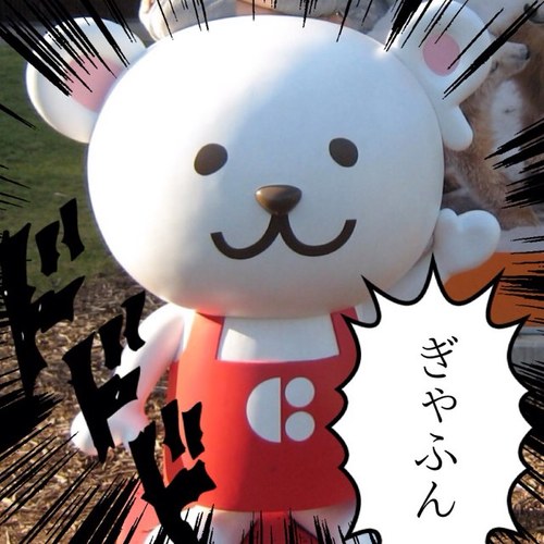 ライヴによく行きます。