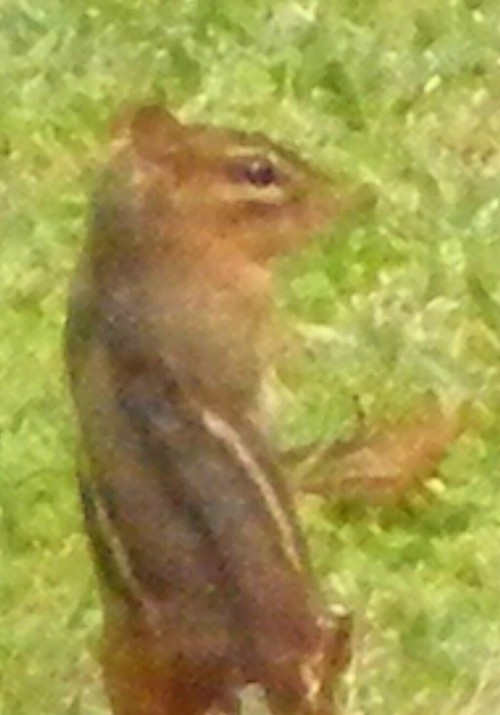 eddie1934's profile picture. 