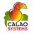 CALAO Systems