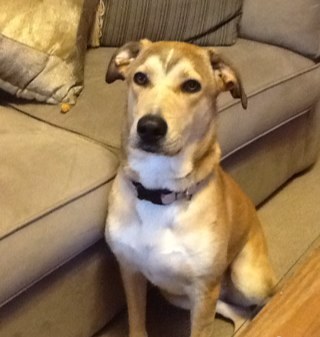 Mamabolt1's profile picture. Be the change you wish to see in the world.