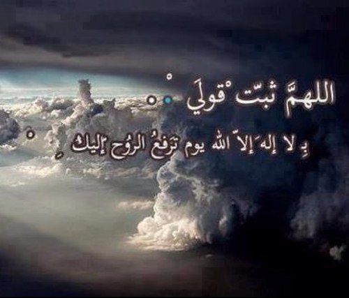 allh_akpr's profile picture. كلمتان خفيفتان على اللسان ثقيلتان في الميزان حبيبتان إلى الرحمن .. ❤ ✿ سبحان الله وبحمده ✿ ❀ سبحان الله العظيم ❀