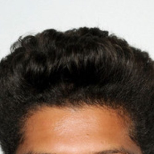 Hi, I'm Bruno Mars' haircut. 
Official bruno mars haircut twitter. Ill be verified soon.