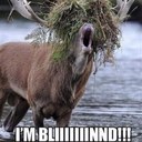 Josh baughman - @josh_baughman - Twitter