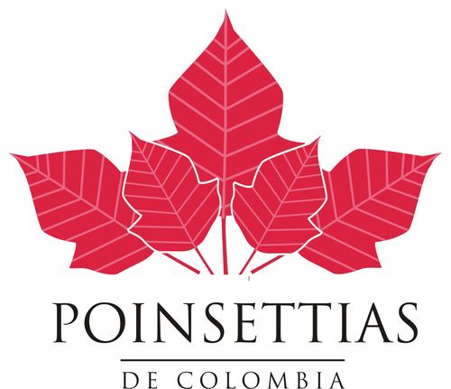 Cultivamos y distribuimos las mejores variedades de Poinsettias de Colombia.

Km 81 +350 Vía Mosquera - La Mesa (Cundinamarca)