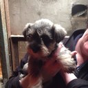 Beatrice Ferguson - @BeatriceFergu10 - Twitter