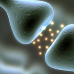 Postdoc in @collingridge_l lab @SinaiHealth. My core research focuses on ways we can enhance synaptic plasticity to promote recovery or treatment of disease.