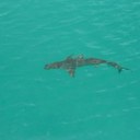 karin friend - @ferdamt - Twitter