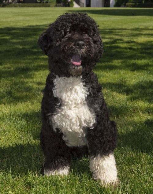 socialwizardy's profile picture. 