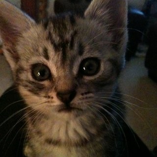 cdrd79's profile picture. 