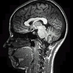 Lecturer @UofMaryland 
Interested in cognitive control, EEG, iEEG, fMRI, anterior cingulate cortex