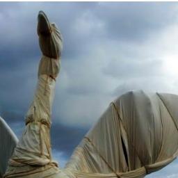 LkldSwan's profile picture. They think I'm just another mute swan? Guess again!