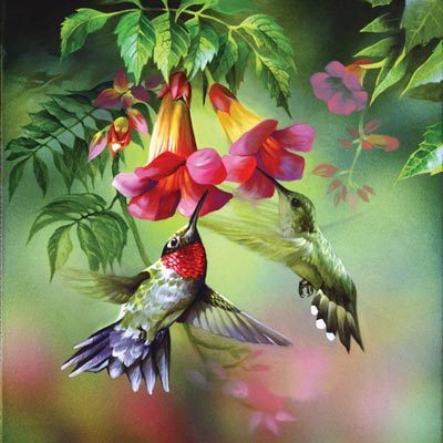 JwldHummingbird's profile picture. Consultant, jewelry designer, avid reader, gardener,  loving pet owner, concerned citizen of the USA!
