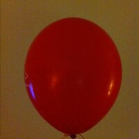 Bubius (@bubius) 's Twitter Profile