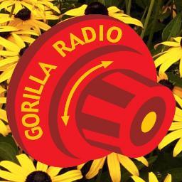 The Highest Rated Show on @PSUGorillaRadio with Ken Price (@kaprice9) and Stephen McTeer (@SMcTeer10) We Bring you all the latest news from the world of Sports.