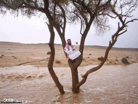 (برق السناف)
هاوي و مهتم بشؤون المناخ ومؤرخ إرشيفي لطقس المملكةمنذخمسة وأربعون عاماً ومحب للغيث أينما حل في مملكتنا الغالية