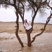 صالح الربيعان (@salihrobain) 's Twitter Profile