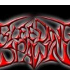 bleedingspawnDM's profile picture. FAST BRUTAL TECHINICAL DEATH METAL BAND WITH ULTRA TRIPLETS AND DUAL VOCALS.HAILING FROM MIDELBURG/WITBANK,MPUMALANGA.
Band Interests
