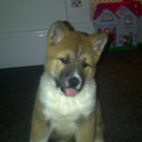 layton watson - @laytonwatson - Twitter