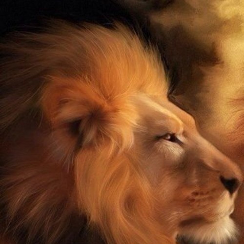 ali5015ali's profile picture. 