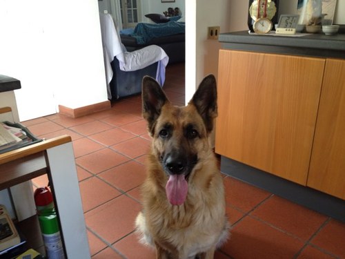 natoli_chiara's profile picture. 