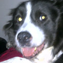 Jo Sheldon - @J__Sheldon - Twitter