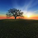 Stephen Proulx - @Rathonus - Twitter