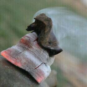 ‏اطيب الكلام ذكر الله