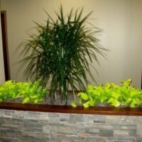 Cap. InteriorScapes (@capintscapes) 's Twitter Profile