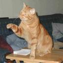 Paula Parks - @WuzzieCat - Twitter