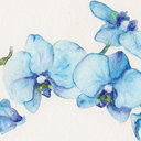 Jennifer Phares - @jennalaska - Twitter