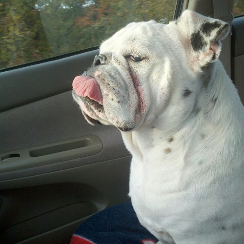 JLFergerberger's profile picture. 