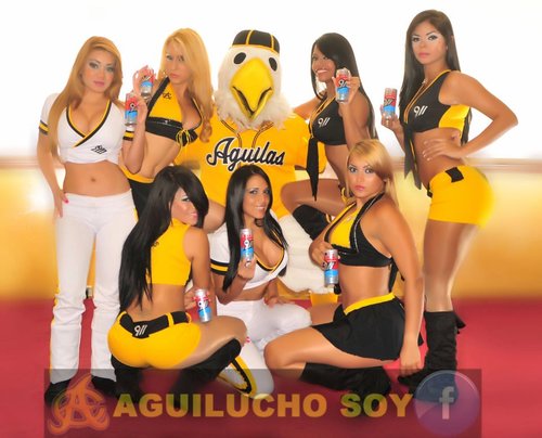 dueño de twitter