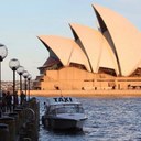 Toni Moon - @ToniGailMoon - Twitter