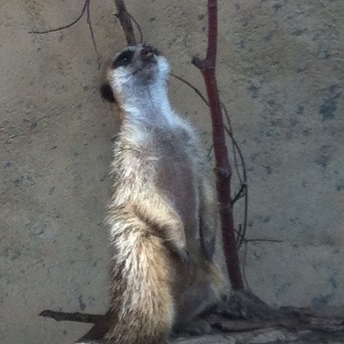 banana_seat's profile picture. 