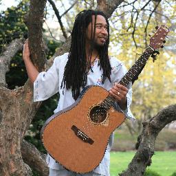 I am a musician in the same vein as Jack Johnson, Ben Harper and Michael Frenti. But a little more experimental. I mix reggae/groove/hip hop rhythms with fiddle
