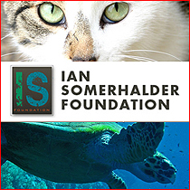 Supporting ISF!