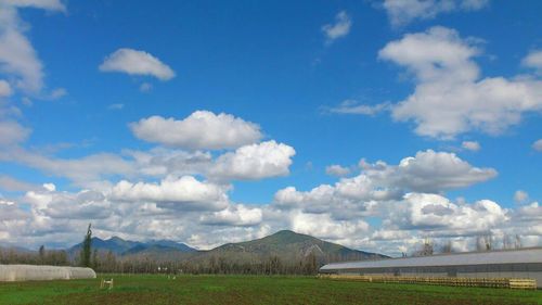 PaulinaSoto1982's profile picture. 