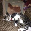 Jane Fearing Howlett - @JaneBristolRI - Twitter